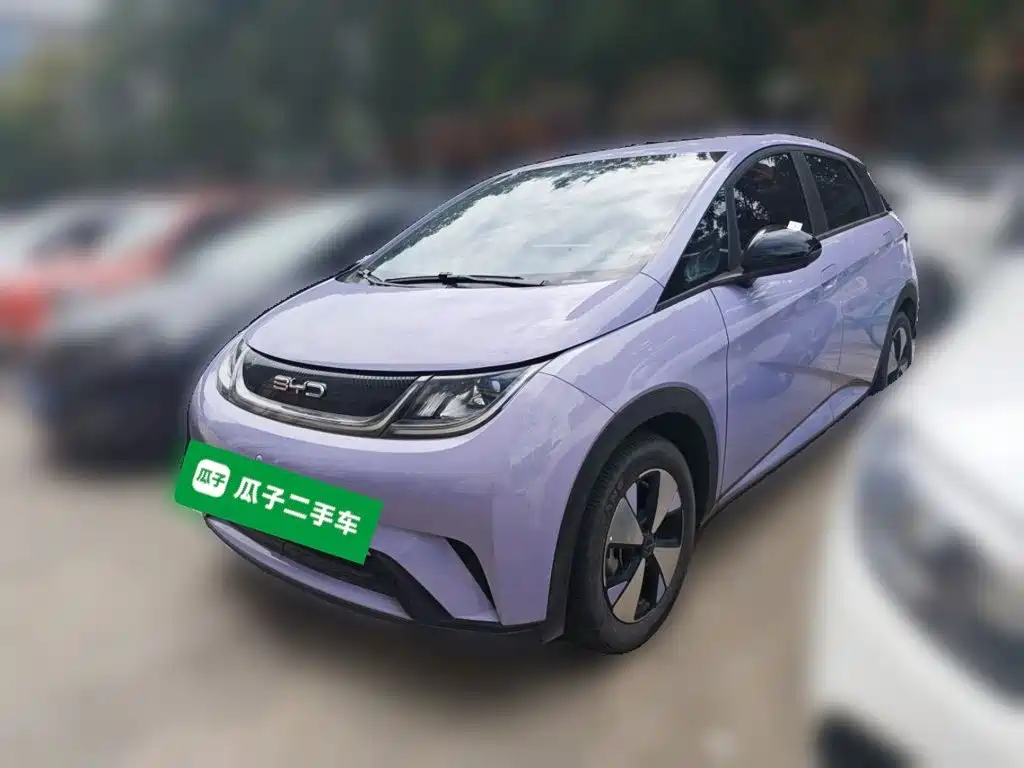 BYD Dolphin