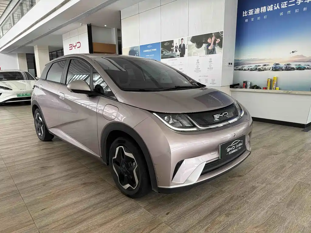 BYD Dolphin — миниатюра 3