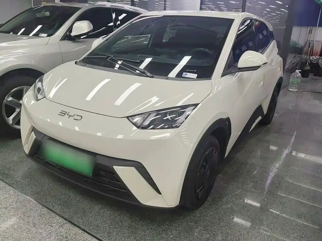 BYD Seagull