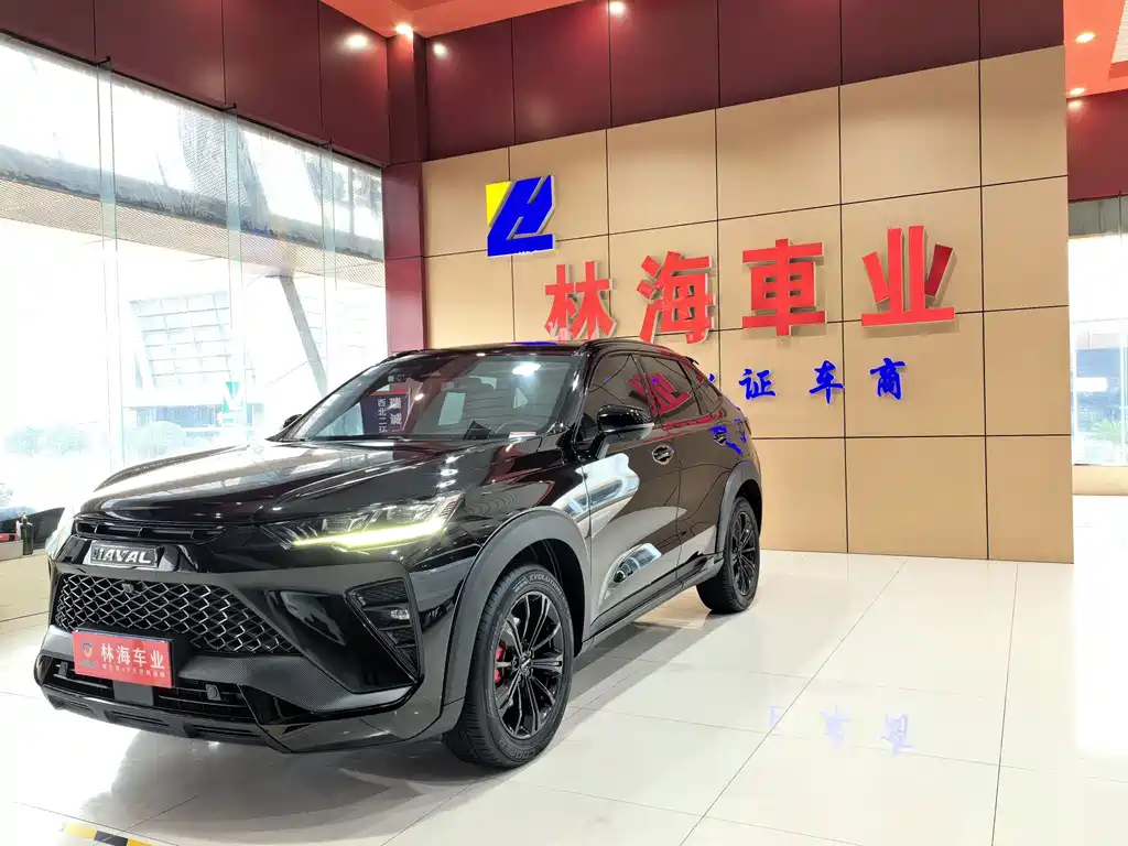 Haval H6S — миниатюра 2