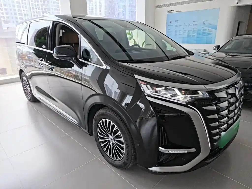 Denza Denza D9 — миниатюра 4