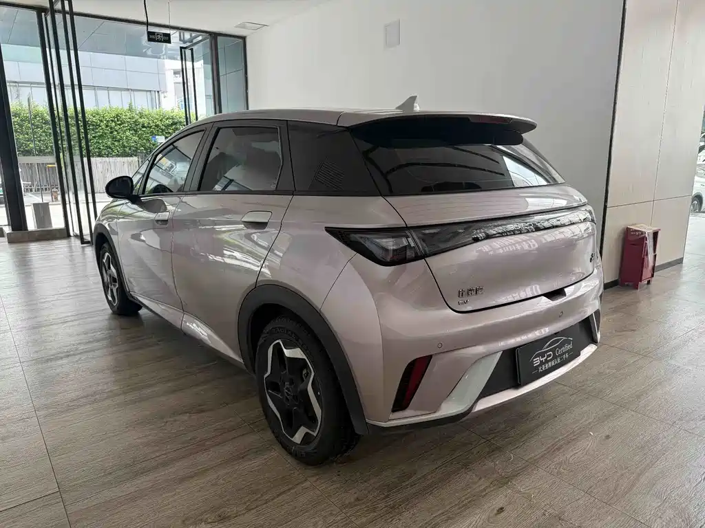 BYD Dolphin — миниатюра 9