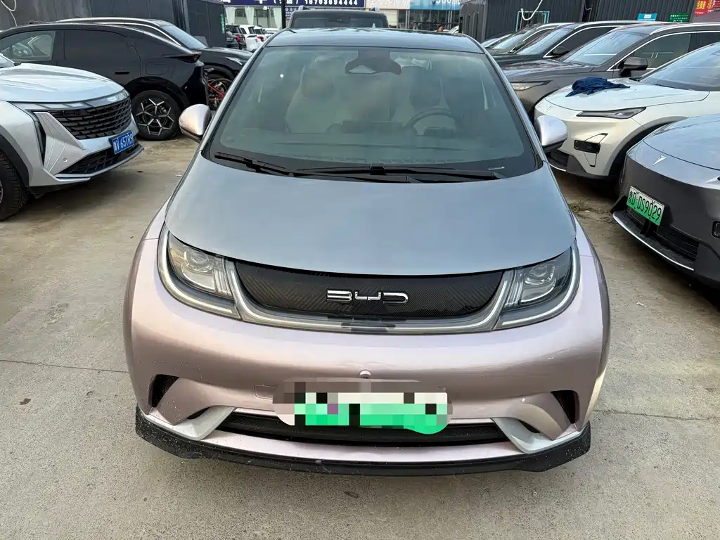 BYD Dolphin — миниатюра 2