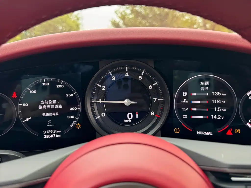 Porsche 911 — миниатюра 19
