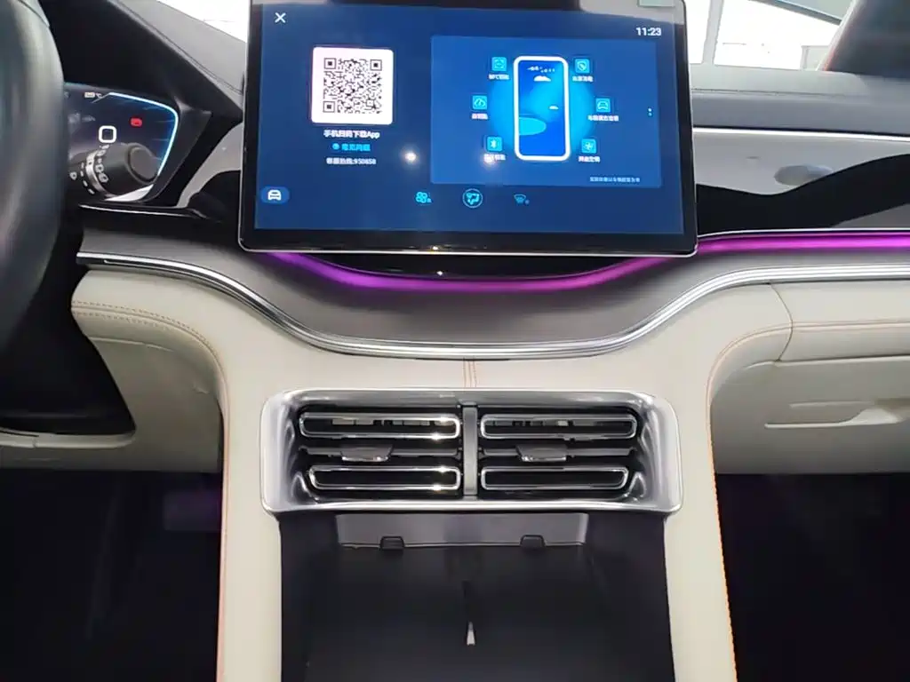 BYD PLUS New Energy — миниатюра 13