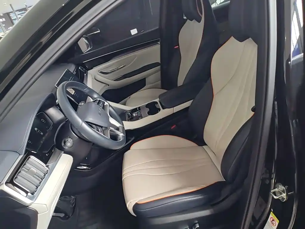 BYD PLUS New Energy — миниатюра 15