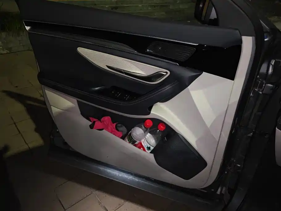 BYD PLUS New Energy — миниатюра 7