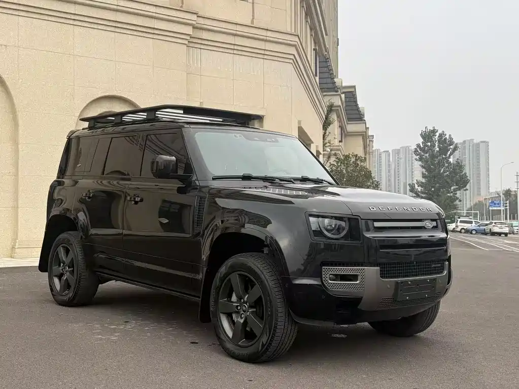 Land Rover Defender — миниатюра 15