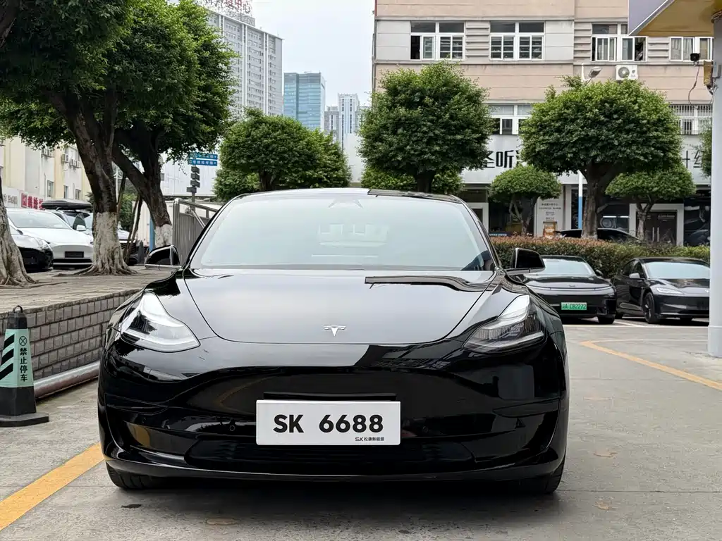 Tesla Model 3 — миниатюра 2