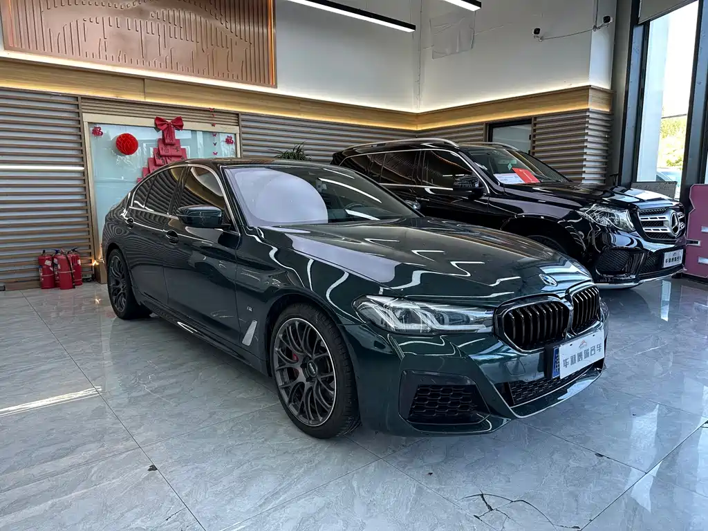 BMW 5 Series (Import) — миниатюра 3