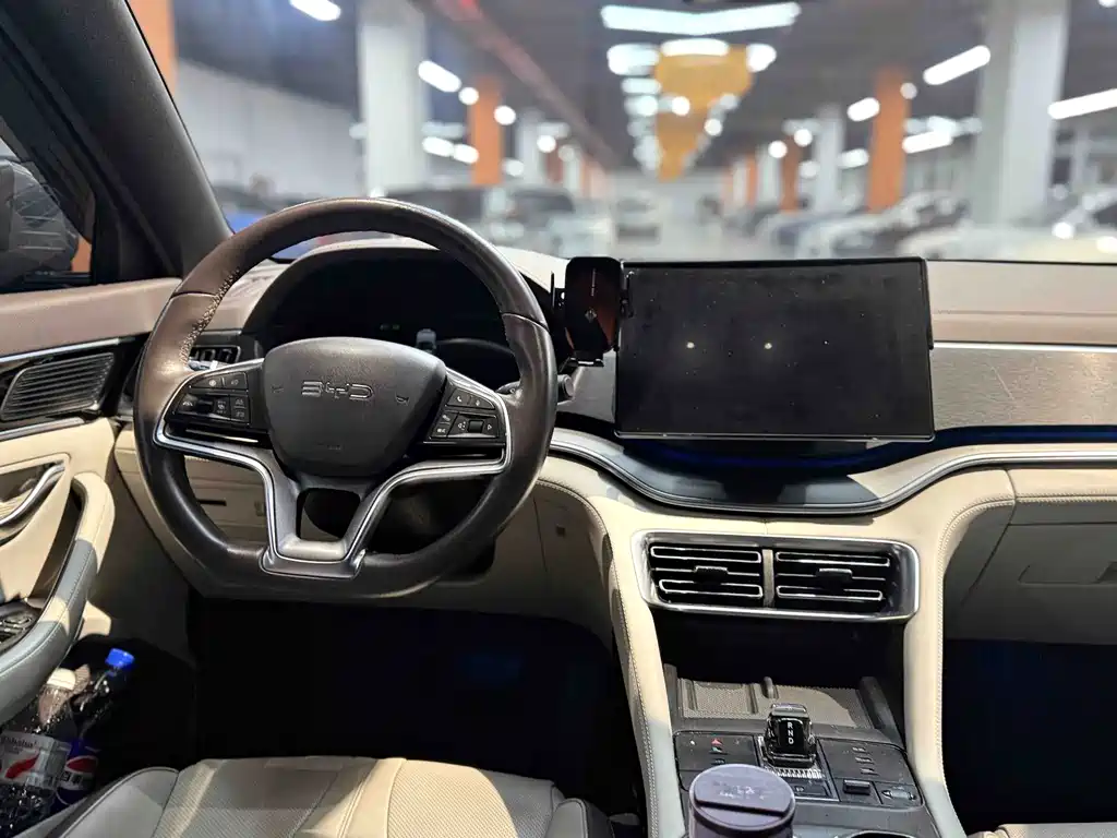 BYD PLUS New Energy — миниатюра 12