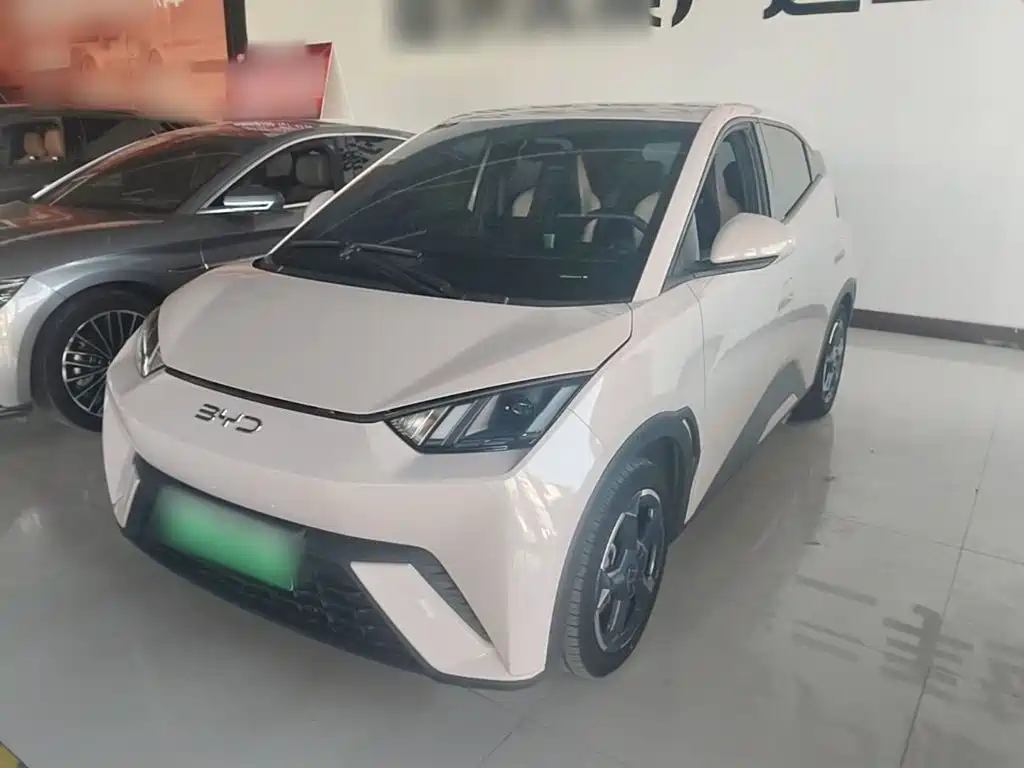 BYD Seagull
