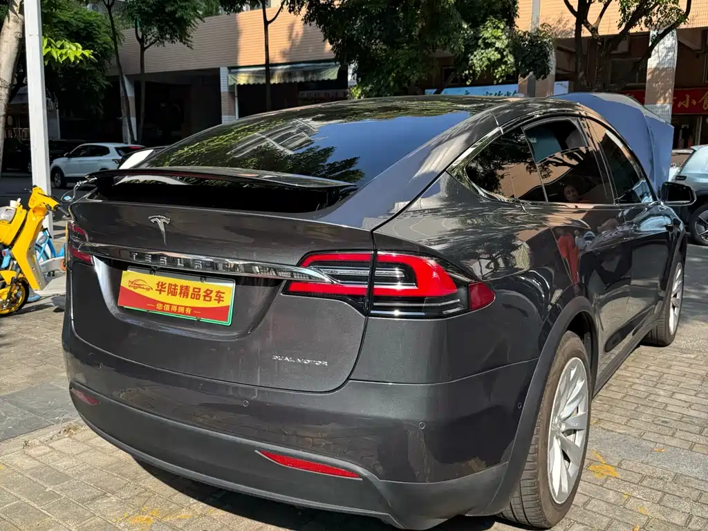 Tesla Model X — миниатюра 8