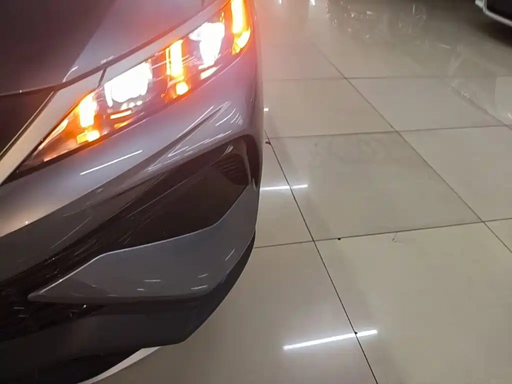 BYD Pro New Energy — миниатюра 24