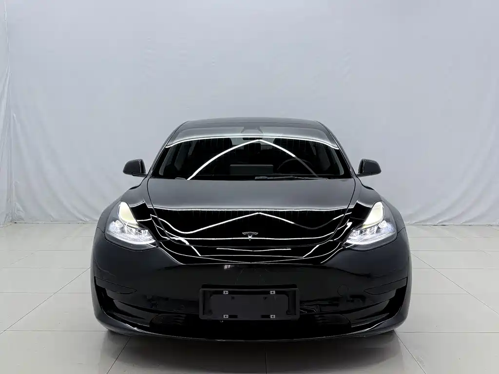 Tesla Model 3 — миниатюра 2