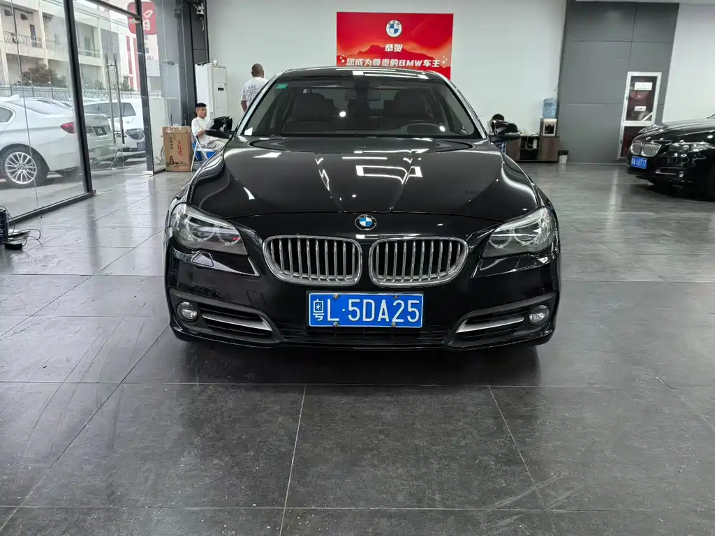 BMW 5 Series — миниатюра 2