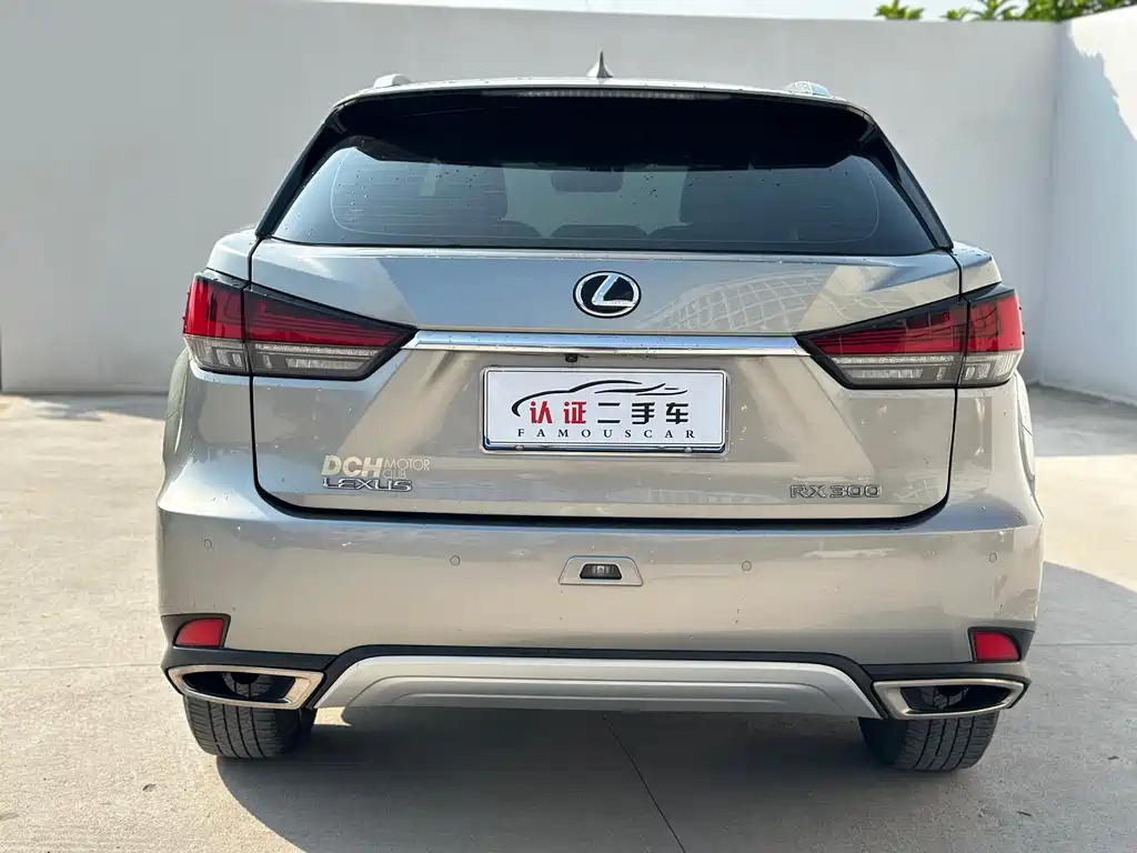 Lexus RX — миниатюра 17