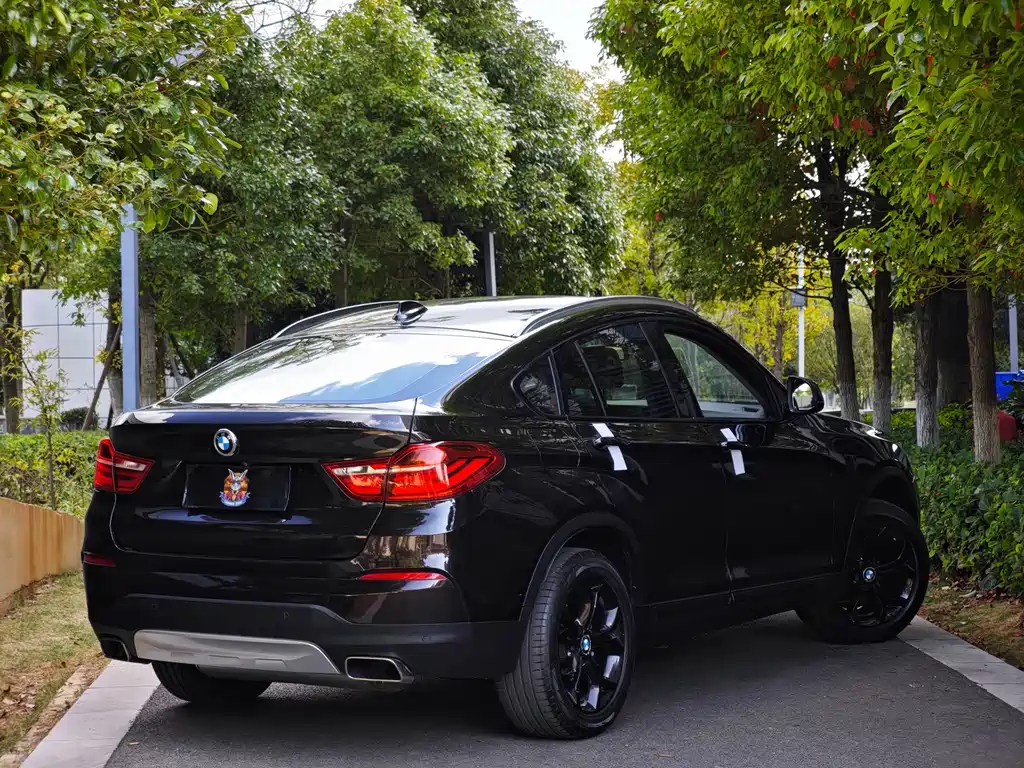 BMW X4 — миниатюра 6