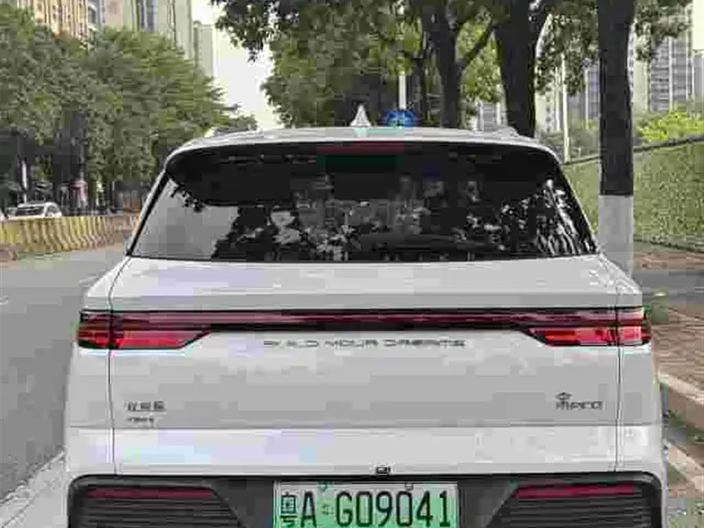 BYD SONGJIANG NEW ENERGY