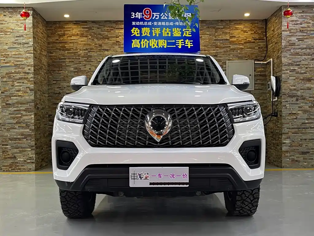 Great Wall Pao — миниатюра 2