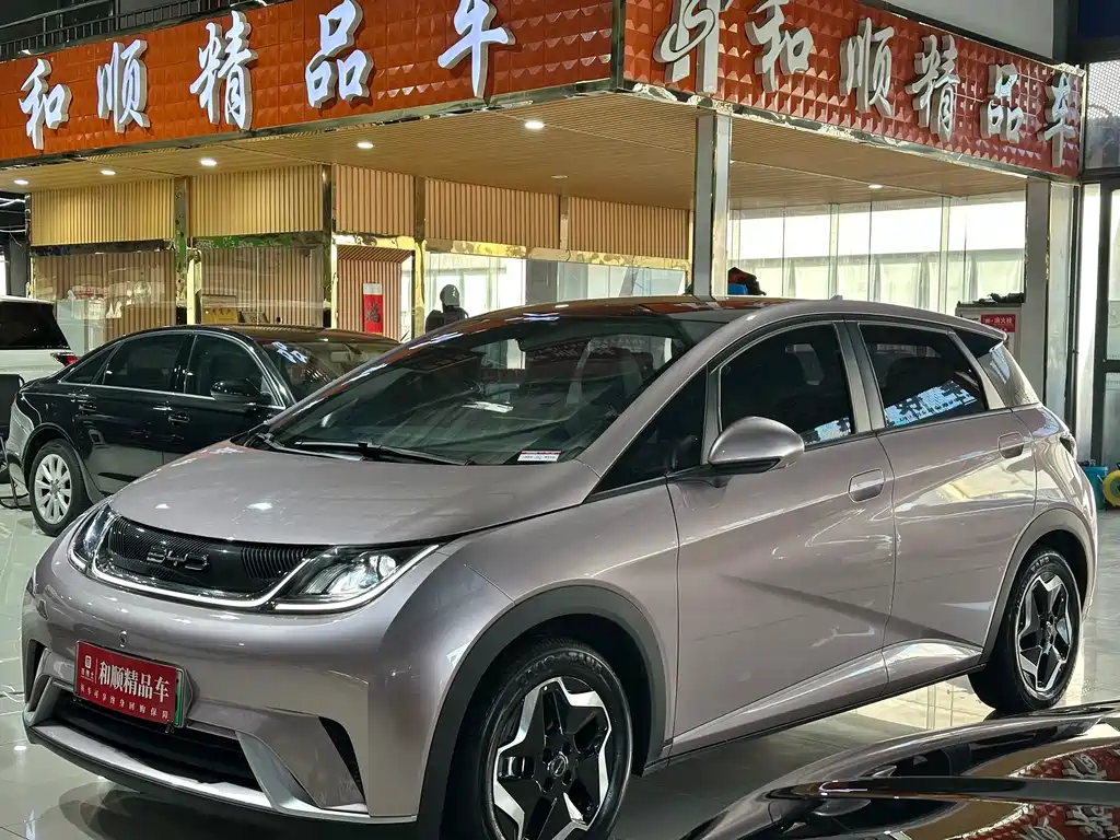 BYD Dolphin — миниатюра 18