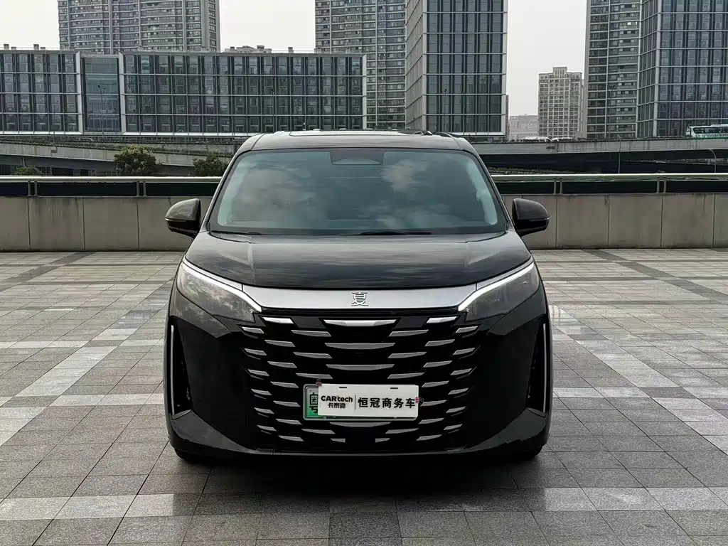 BYD Xia — миниатюра 2