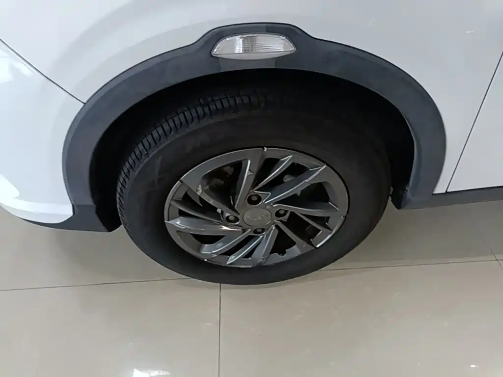 Neta Neta V — миниатюра 23