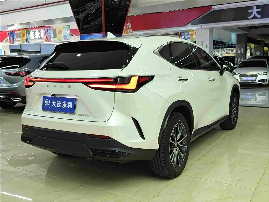 Lexus NX — миниатюра 12