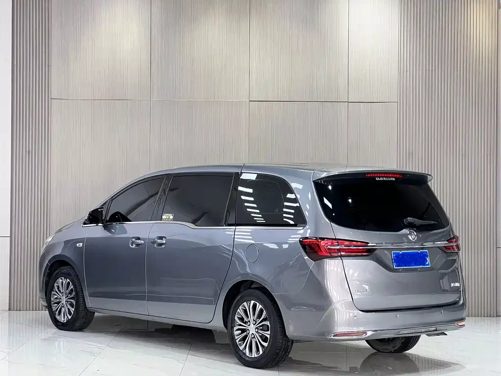 Buick GL8 — миниатюра 11