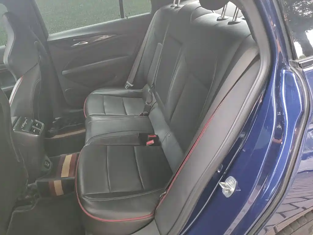 Buick Regal — миниатюра 17