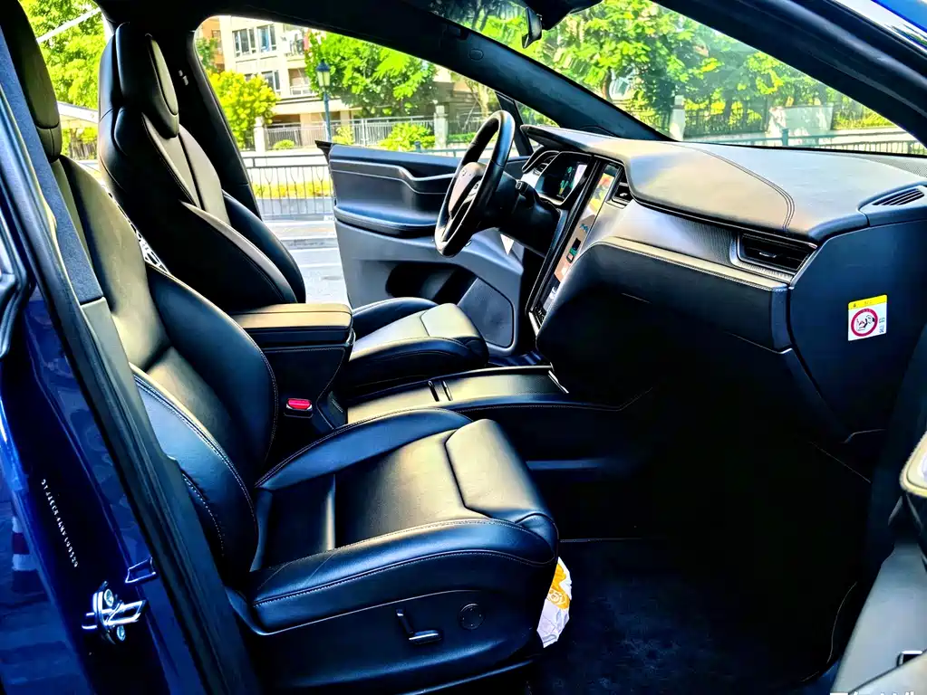 Tesla Model X — миниатюра 9