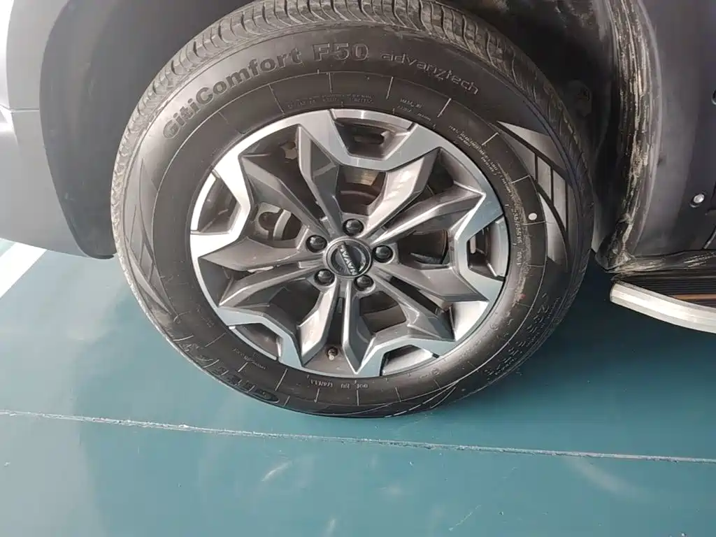 Haval Big Dog — миниатюра 23