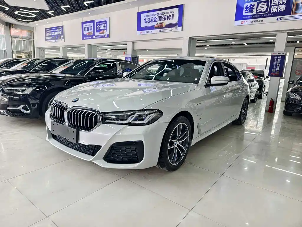 BMW 5 Series New Energy