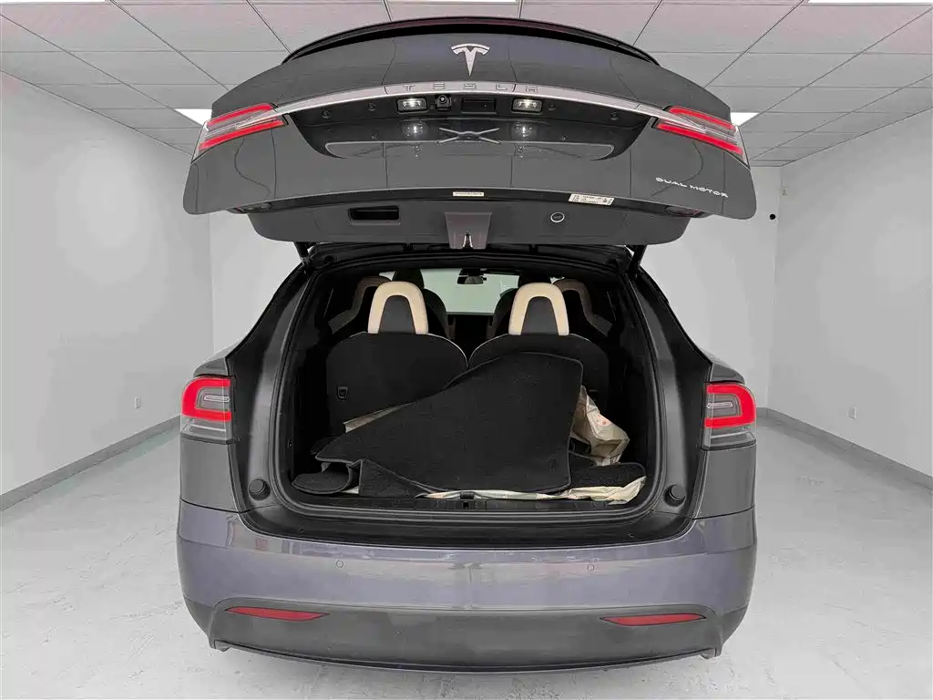 Tesla Model X — миниатюра 22