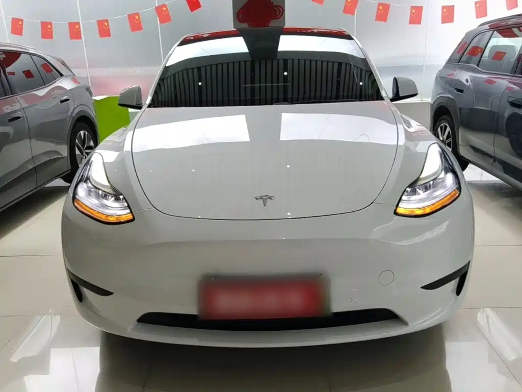 Tesla Model Y — миниатюра 3