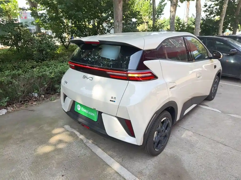 BYD Seagull 2025 Smart Drive 305km Freedom
