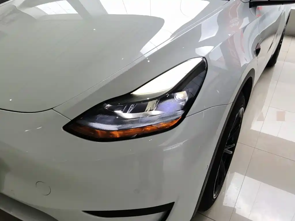 Tesla Model Y — миниатюра 24