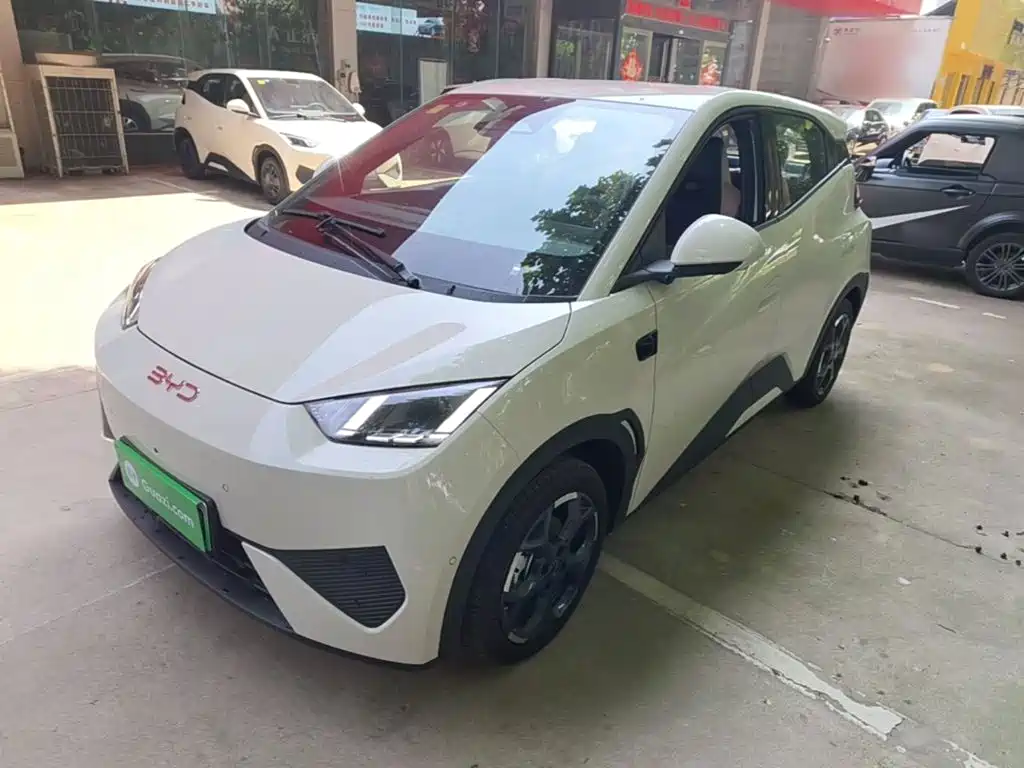 BYD Seagull