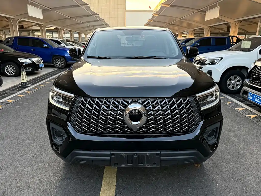 Great Wall Pao — миниатюра 2