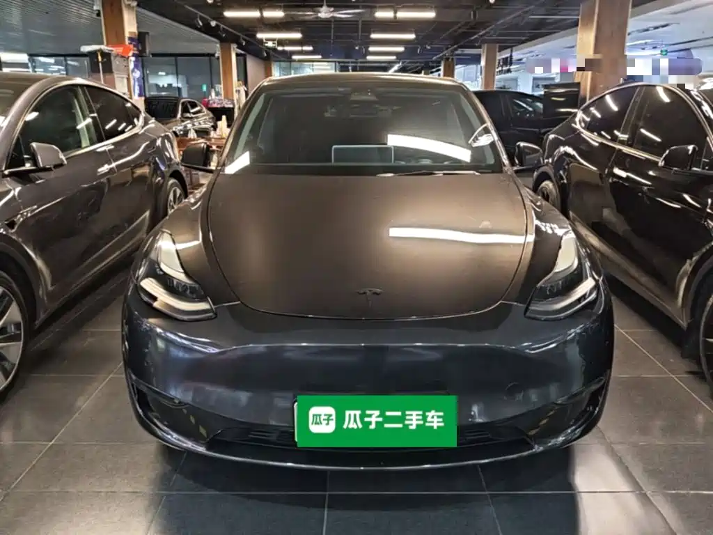 Tesla Model Y — миниатюра 3