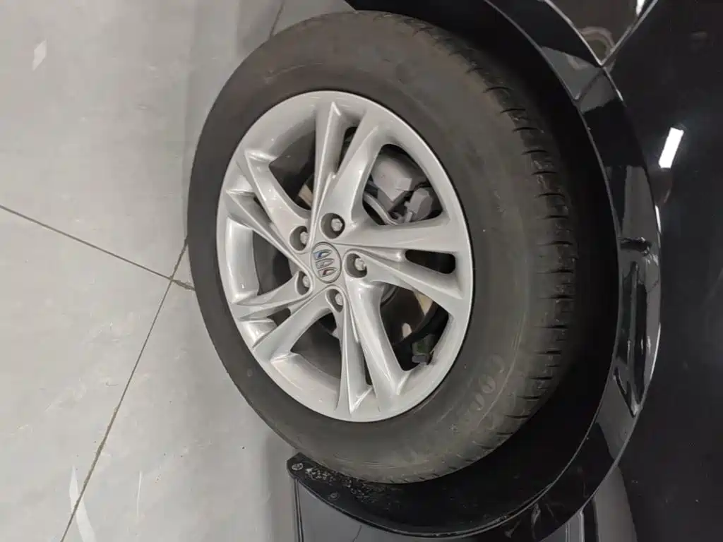 Buick Regal — миниатюра 23