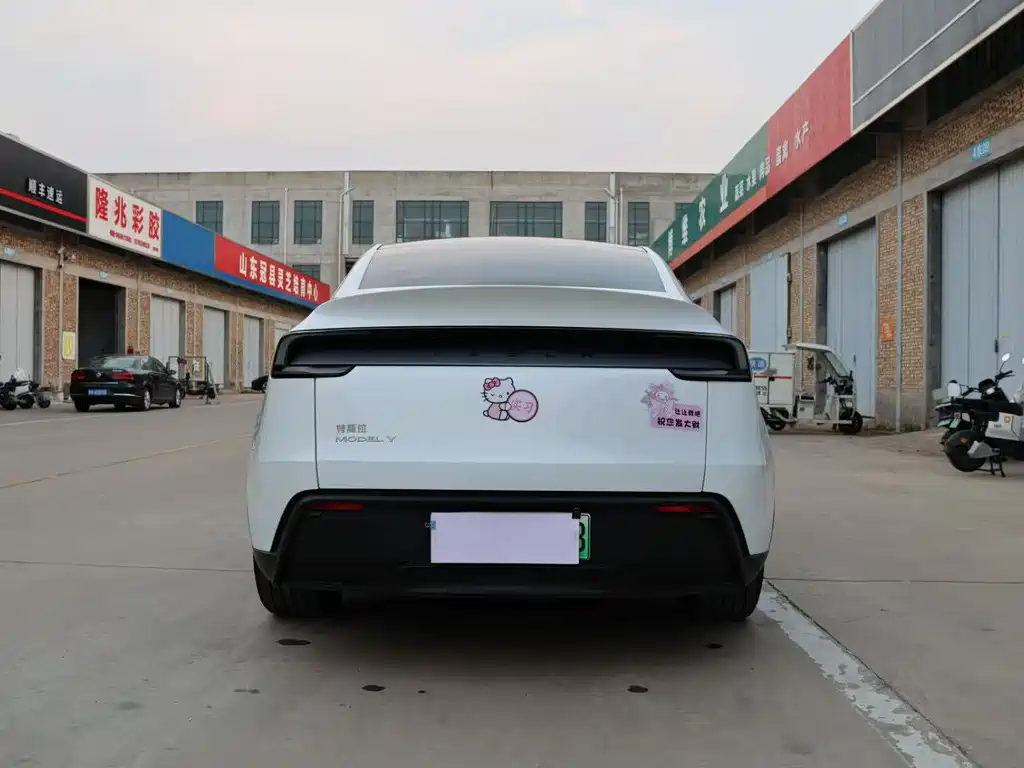 Tesla Model Y — миниатюра 13