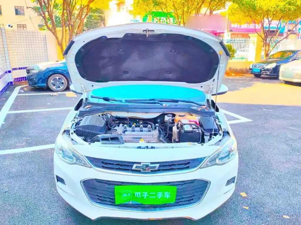 Chevrolet Cavalier — миниатюра 16