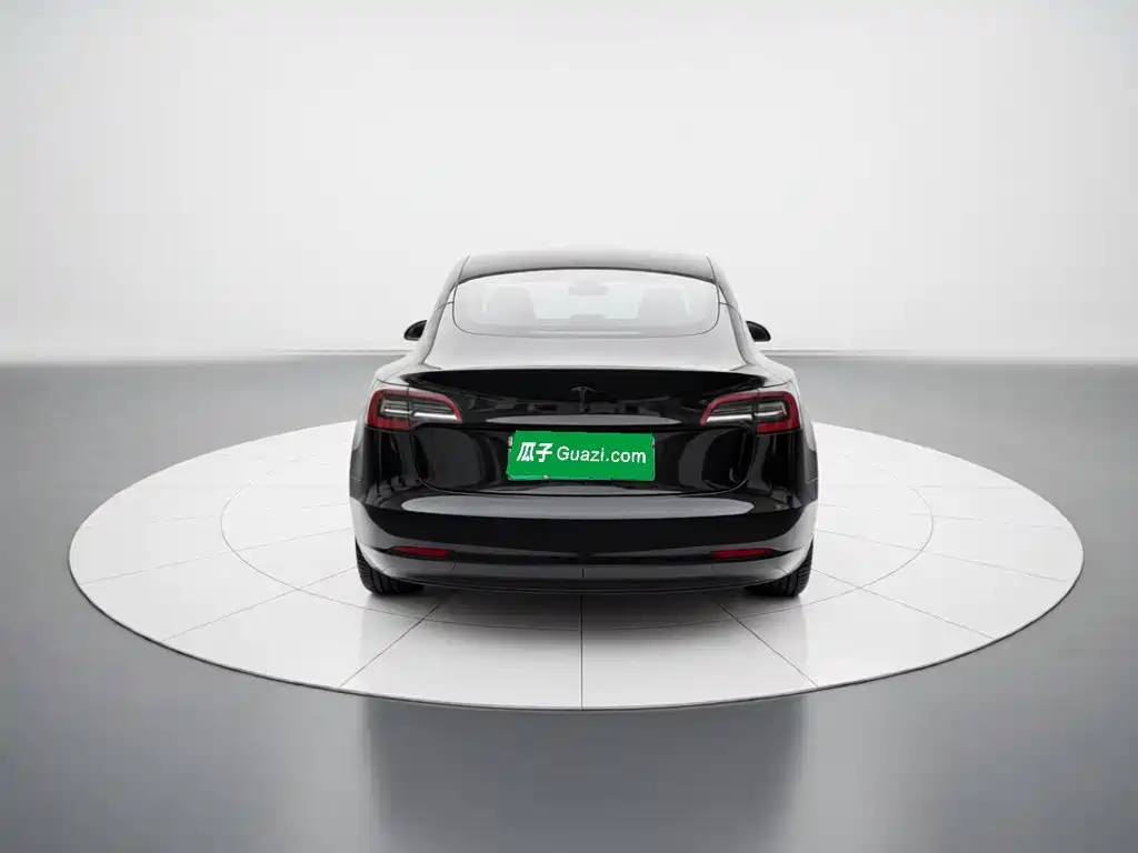 Tesla Model 3 — миниатюра 5