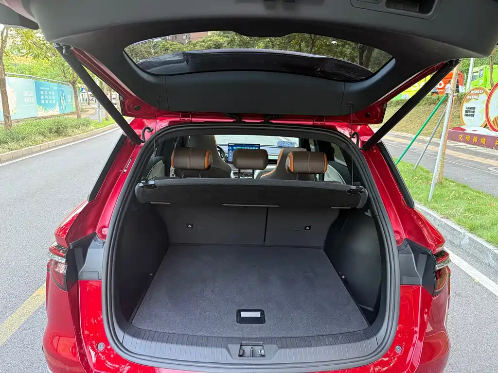 BYD Pro New Energy — миниатюра 18