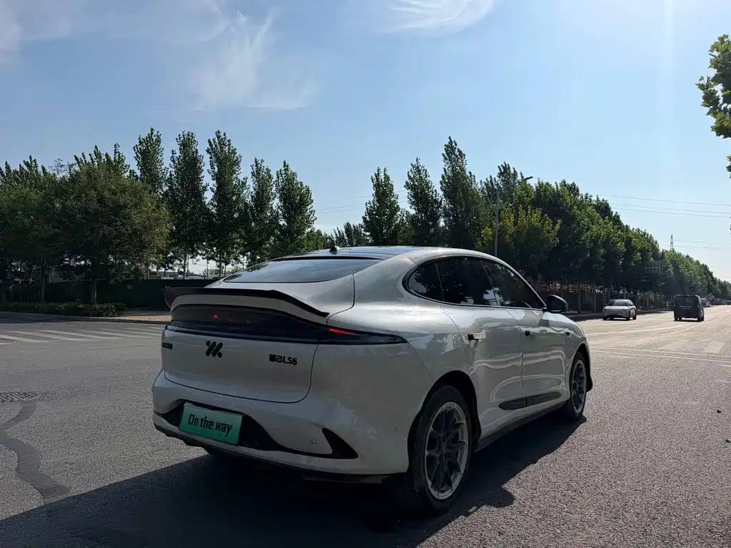 IM IM LS6 — миниатюра 7