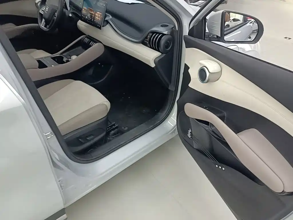BYD Yuan Plus — миниатюра 9