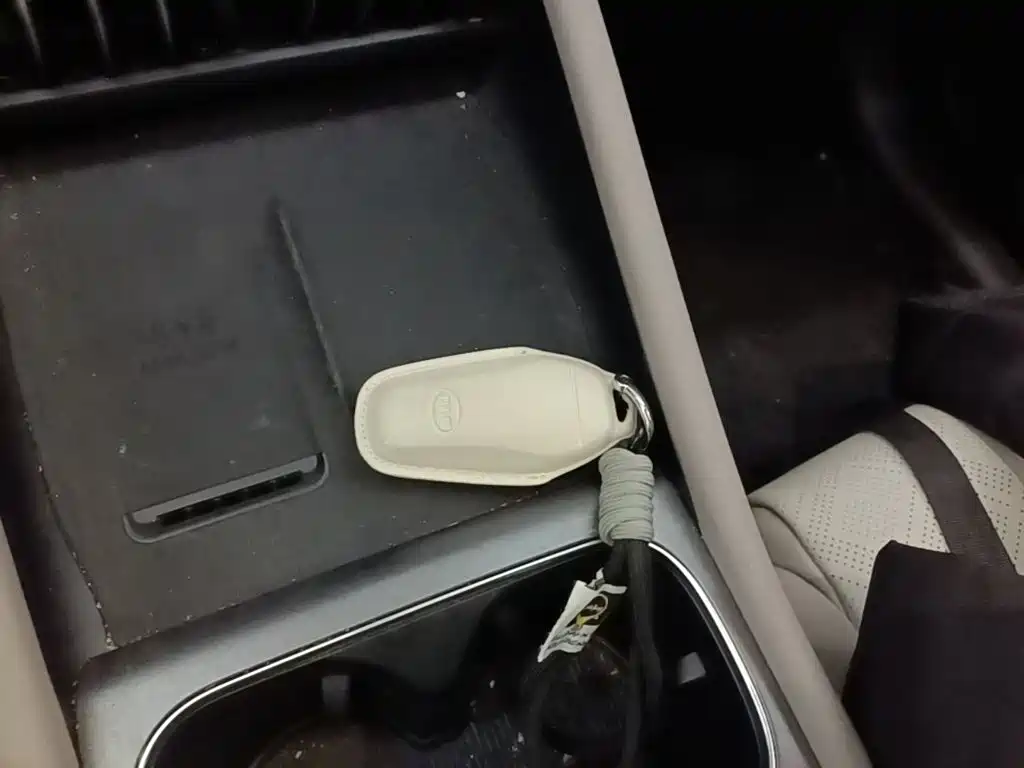 BYD Yuan Plus — миниатюра 13