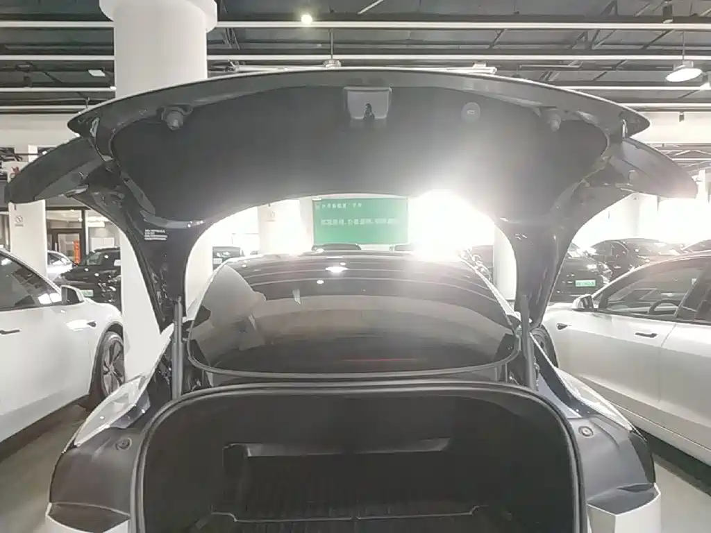 Tesla Model 3 — миниатюра 19