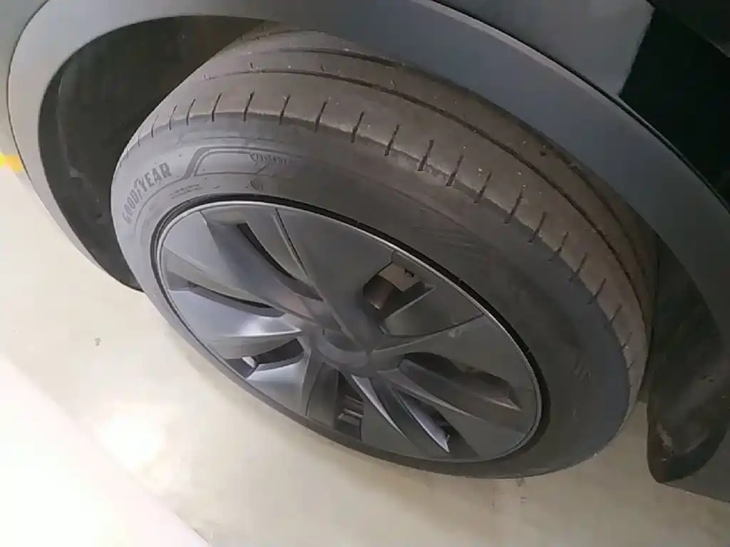 Tesla Model Y — миниатюра 23